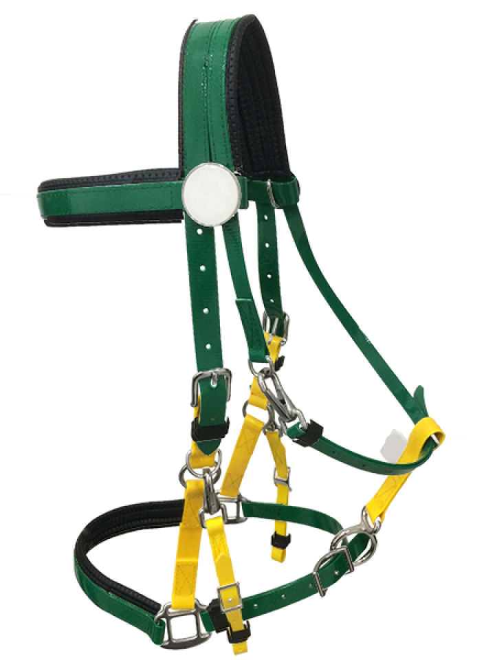 Endurance Bridle Halter