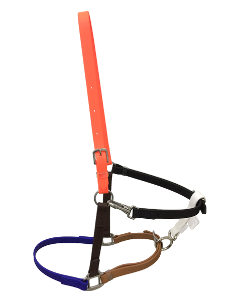 Halters