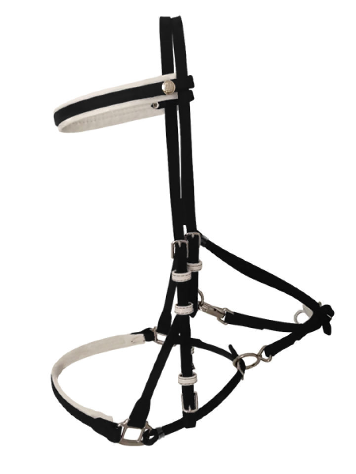 Quick Release Endurance Bridle Beta