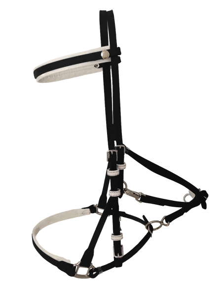 Quick Release Endurance Bridle Beta