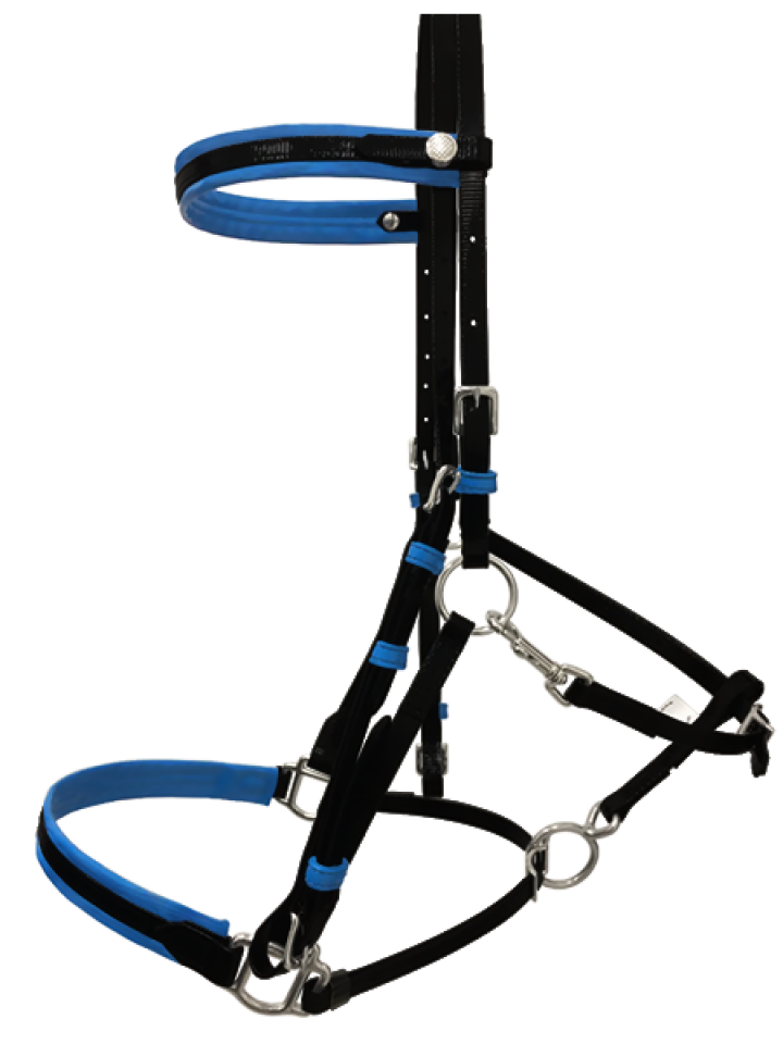 Quick Release Endurance TPU Bridle