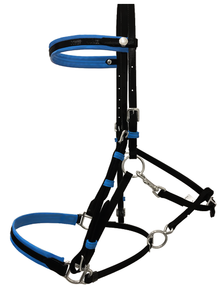 Quick Release Endurance TPU Bridle