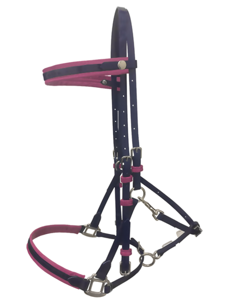 Quick Release Endurance Biothane Bridle