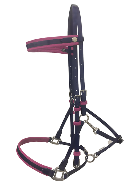 Quick Release Endurance Biothane Bridle